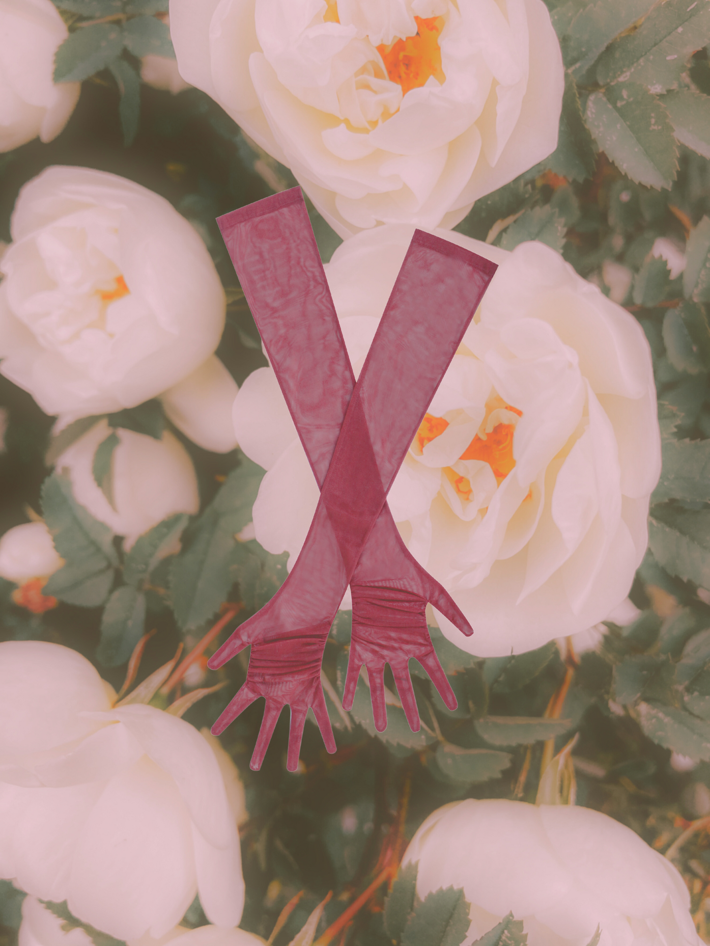 Qira Mesh Opera Length Gloves