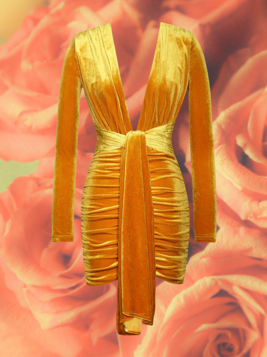 Infinite Love Deep V Velvet Dress