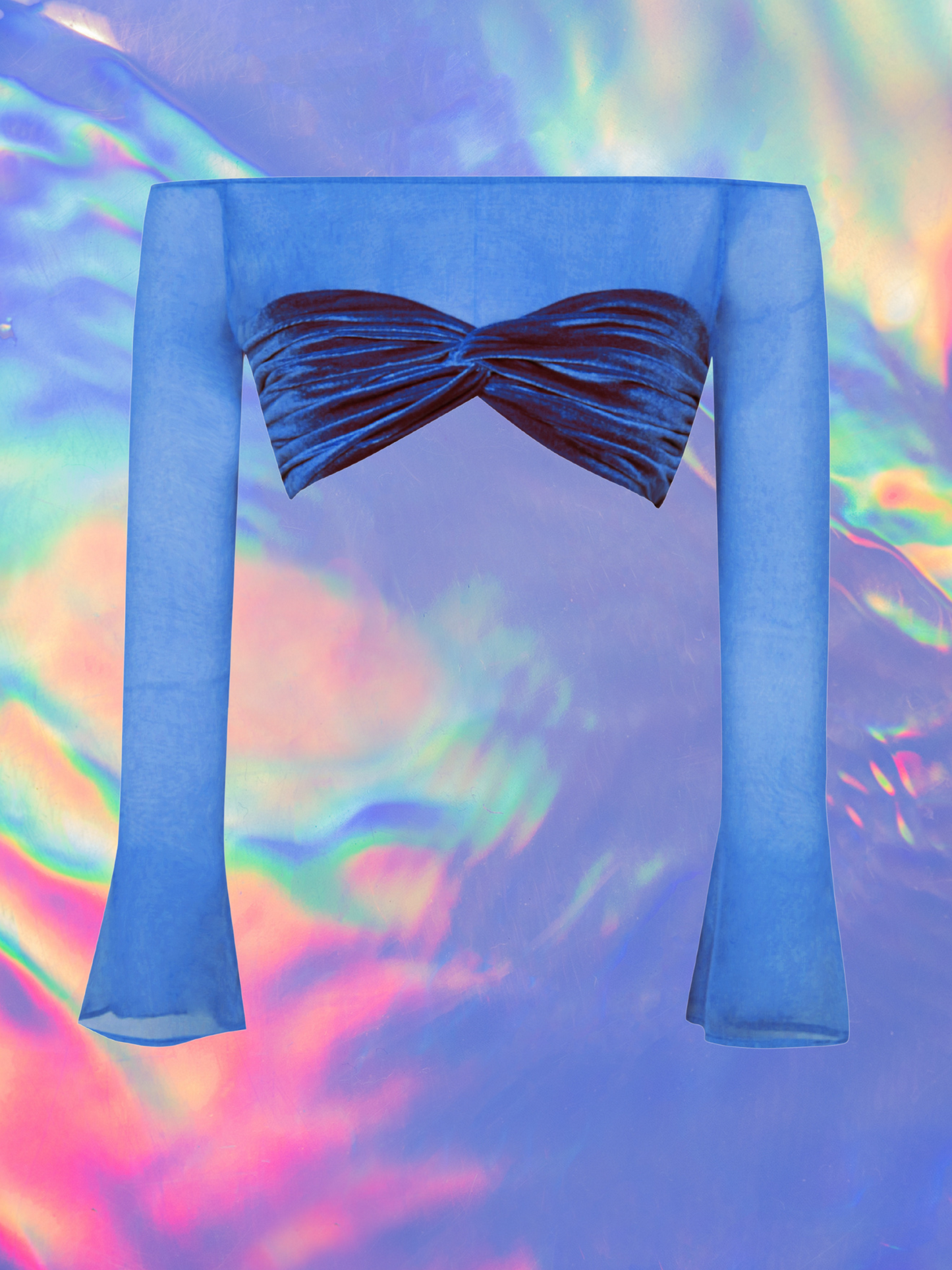 Brucie Velvet Mesh Sleeve Top