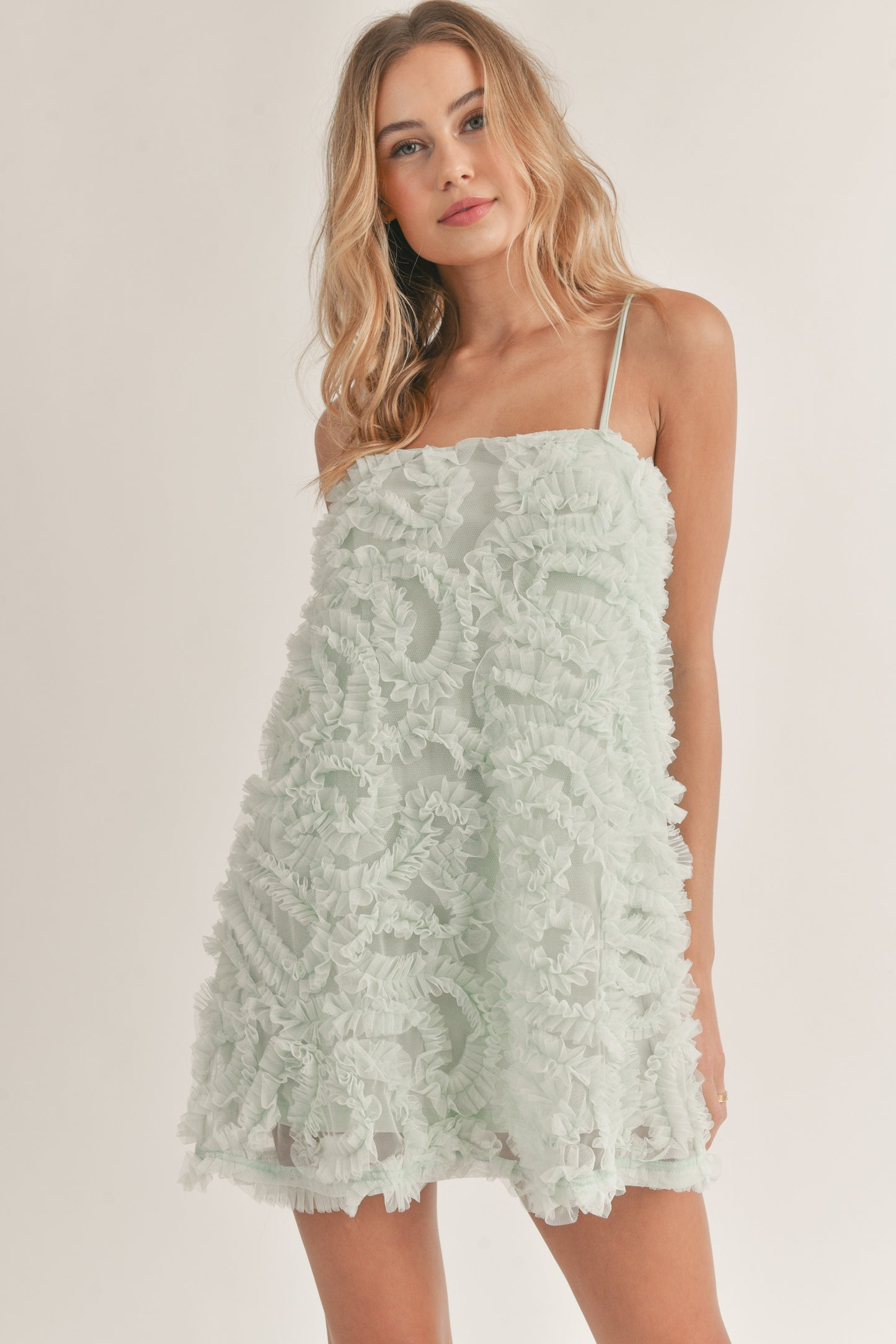 Dory Textured Tulle Mini Dress
