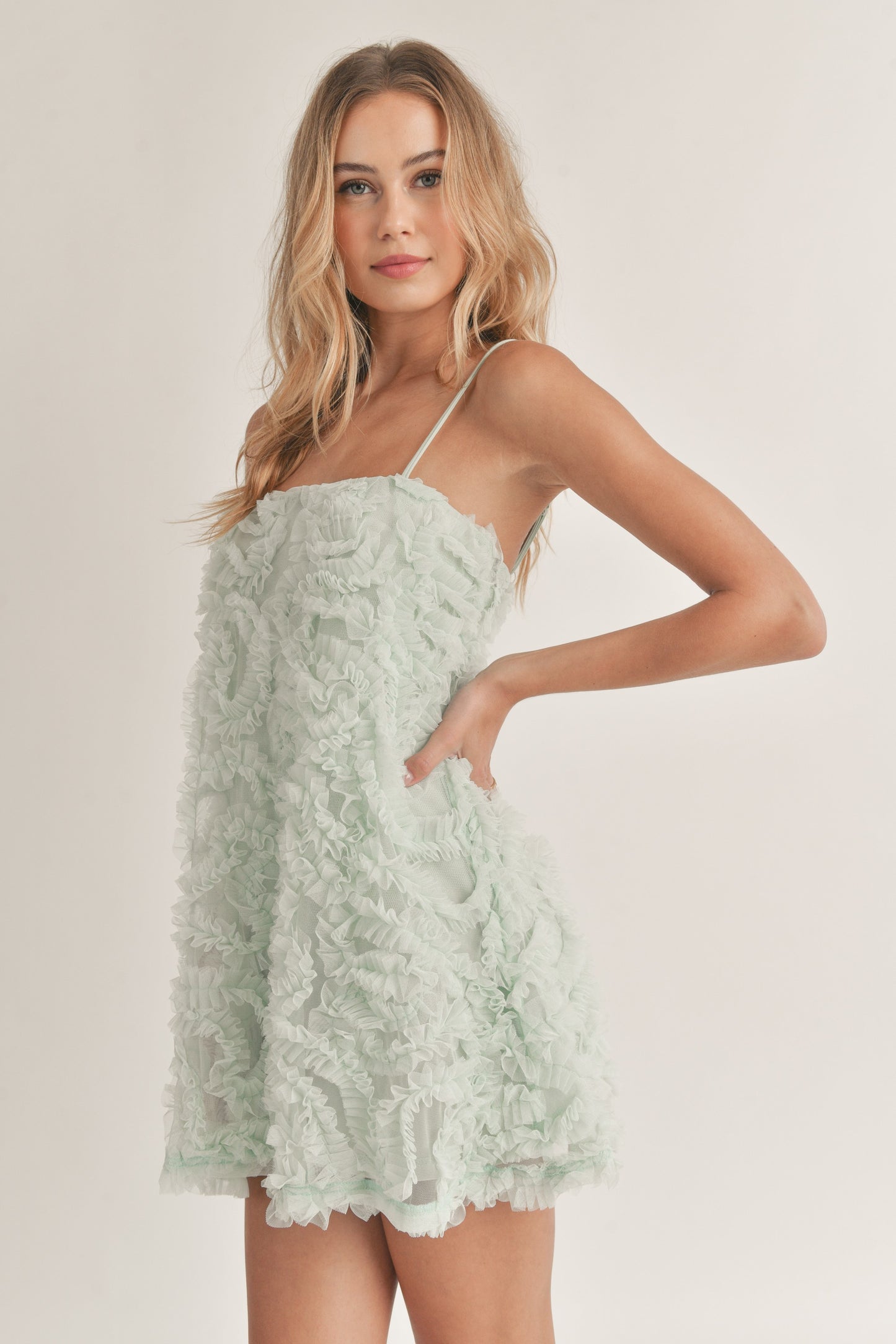 Dory Textured Tulle Mini Dress