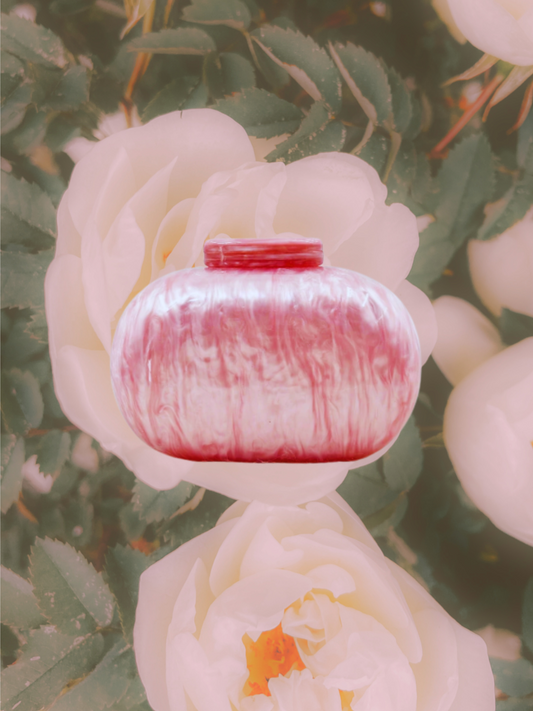 Harleigh Acrylic Clutch