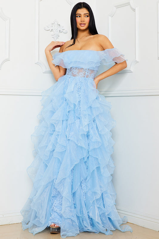 Shanelle Off Shoulder Mesh Gown