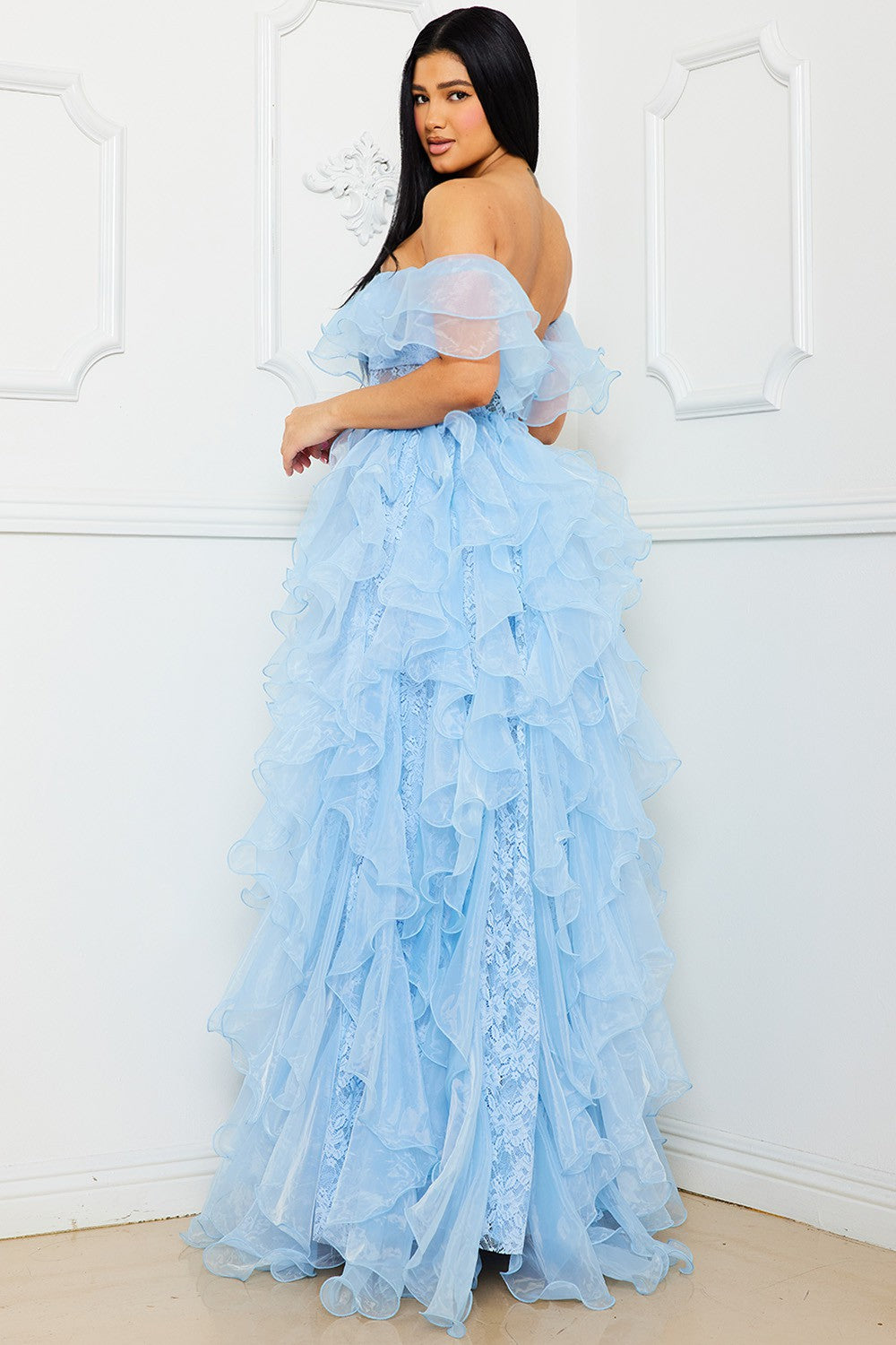 Shanelle Off Shoulder Mesh Gown