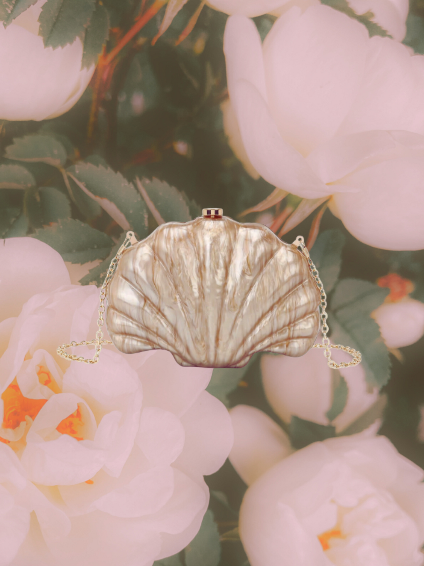 Naima Shell Acrylic Clutch