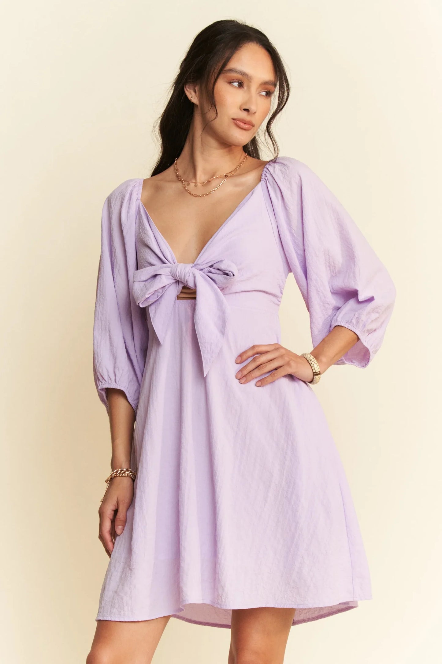 Plus Self-Tie Puff Sleeve Mini Dress